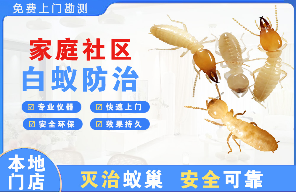 雅安家庭社区白蚁防治