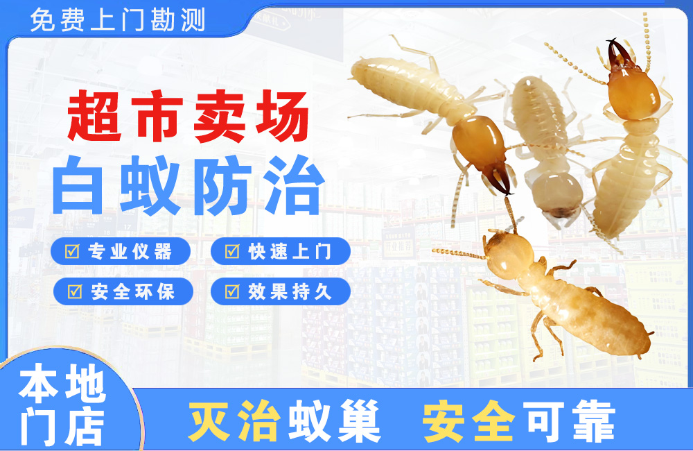 雅安超市卖场白蚁防治