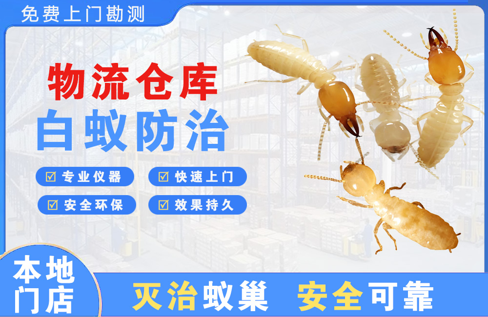 雅安物流仓库白蚁防治