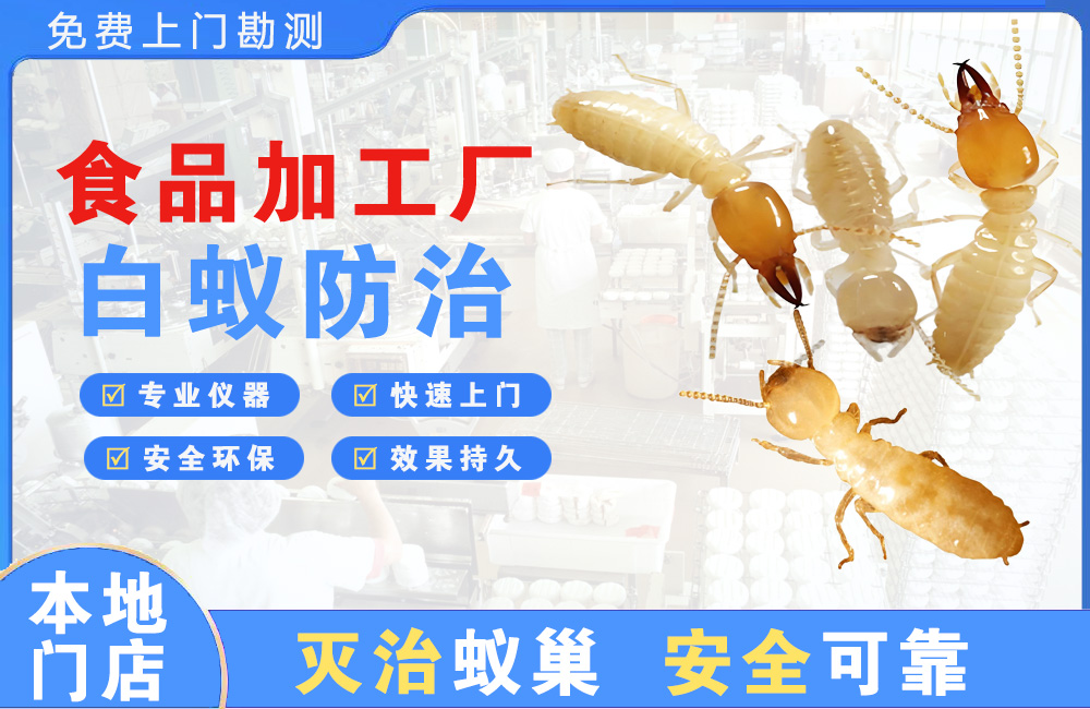 雅安食品加工厂白蚁防治