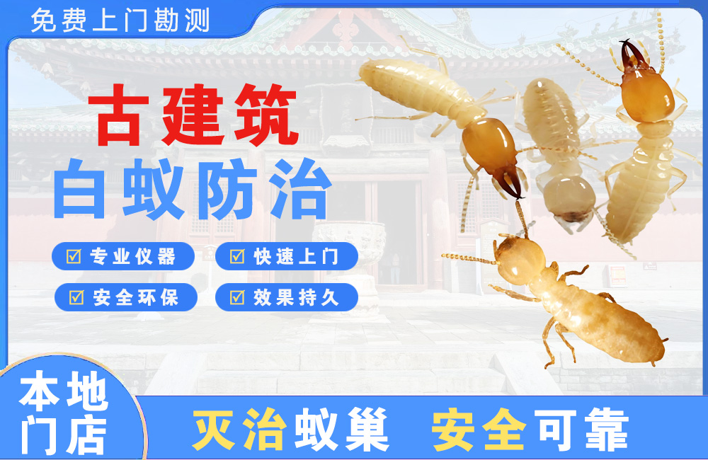 雅安古建筑白蚁防治