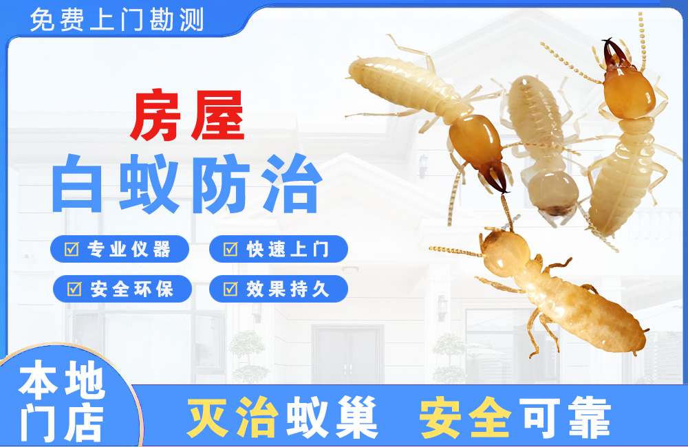 雅安房屋白蚁防治