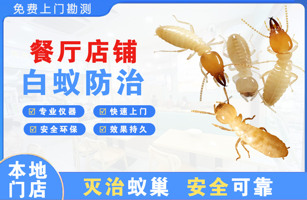 雅安餐厅店铺白蚁防治